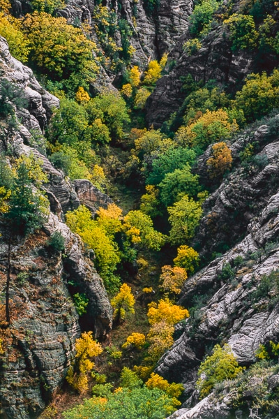 walnut canyon fall colors